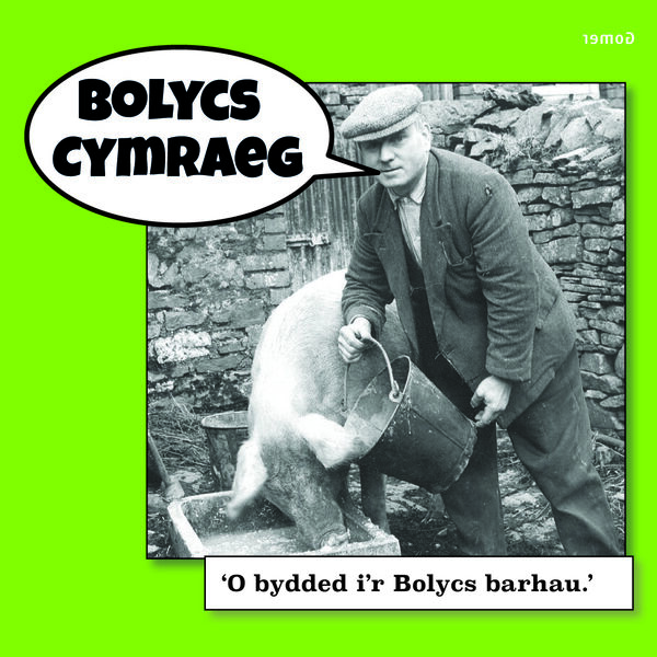 A picture of 'Bolycs Cymraeg' 
                              by Huw Marshall